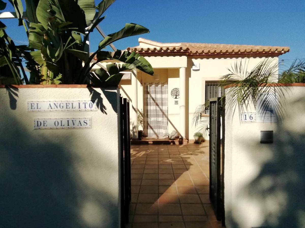 Guest House El Angelito De Olivas 페드리구에르 외부 사진